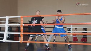 В Серпухове воспитывают поколения чемпионов по боксу