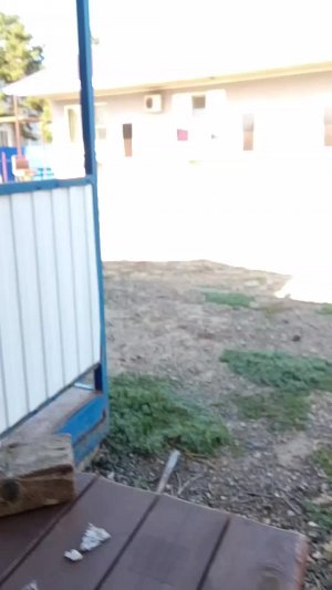 вера чинит нидол, а я делаю домик из картона