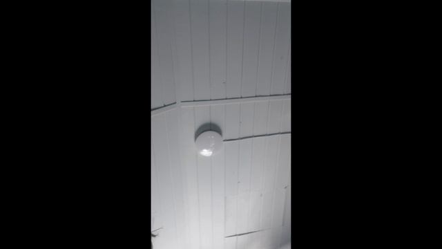 Lazarus Video Fix Shop