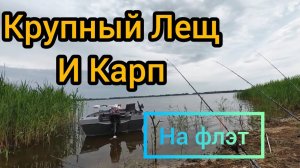Ехали на окуня а наловили КРУПНОГО ЛЕЩА И КАРПА... СОСЕД В ШОКЕ!!! РЫБАЛКА МЕЧТЫ#Рыбалка #фидер