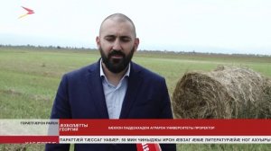 Хӕххон аграрон университеты уалдзыгӕнд культурӕтӕ ӕфснайын райдыдтой дӕргъвӕтин къӕвдаты фӕстӕ