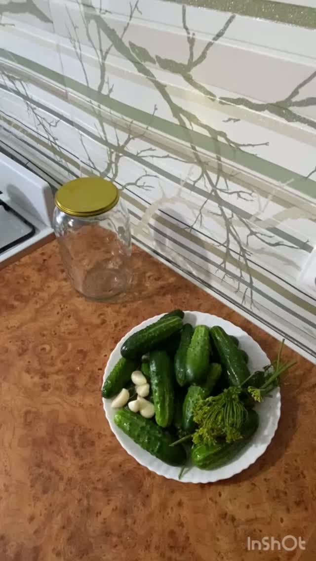 Рецепт квашенных огурцов