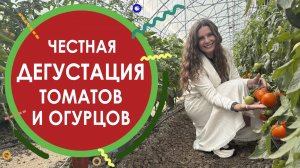 ЧЕСТНАЯ ДЕГУСТАЦИЯ ТОМАТОВ И ОГУРЦОВ