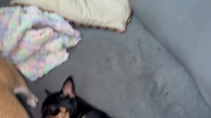 Доброго всем вечера и самой доброй ночи!