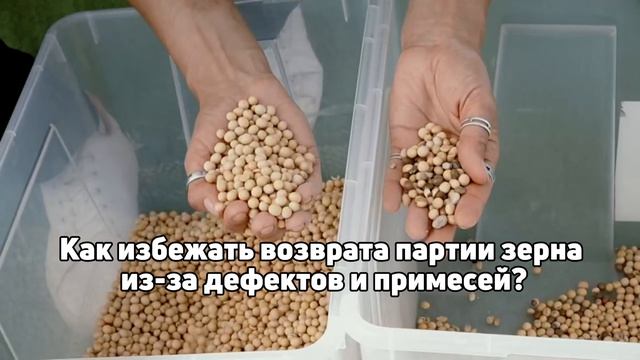 🌾 Как избежать возврата партии зерна из-за дефектов и примесей?