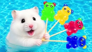 Приключение Пушистика 🍬 Хитрый хомяк проходит гигантский лабиринт