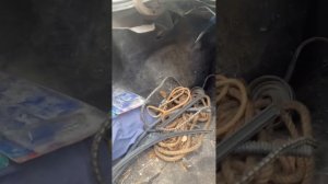 Видеообзор на Toyota Corolla 1989