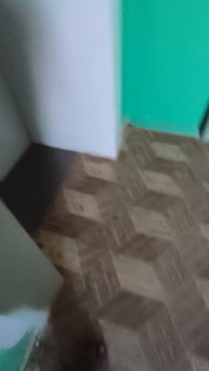 Курск лифт ELM 2023