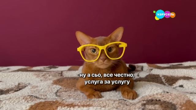 Котики в школе Выживание на сотку и Лотков и Кусев на каникулах 2 серия Телеканал карусель Сырчания