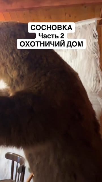 Сосновка. Часть 2. Охотничий дом