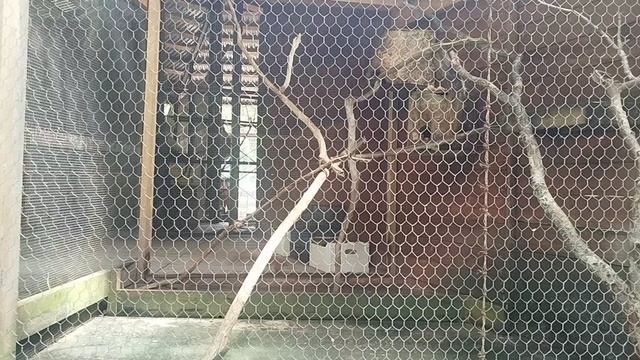 1000014712.mp4