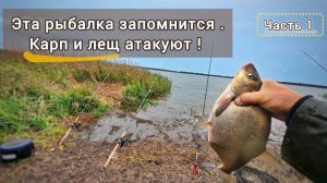 КАРП И ЛЕЩ НА ФИДЕР!! СУПЕР РЫБАЛКА !! ОТОРВАЛИСЬ ПО ПОЛНОЙ!!#