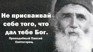 Ты мог бы быть свиньей или мухой. Преподобный Паисий Святогорец.