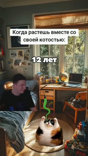Котость