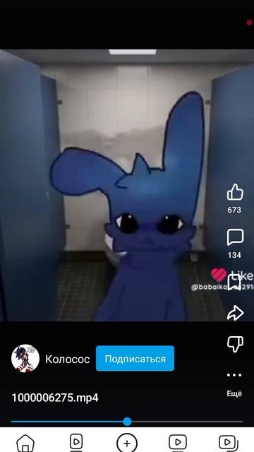 больница для животных