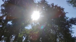 7 августа магический ☀️ подарок от волшебника Ивана Ивановича Кулебякина из Москвы