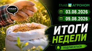 Итоги недели с ГлавАгроном 03.08.2026 – 09.08.2026