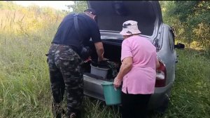 ВМЕСТЕ ВЕСЕЛЕЕ ЗА ГРИБАМИ И НА ПРУД, СОЛНЕЧНЫЙ ВЕЧЕРОК