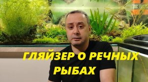 Компания «Гляйзер» о содержании речных рыб