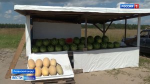 В Роспотребнадзоре рассказали, почему нельзя покупать арбузы на трассах