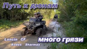 Путь к ДЮНАМ. МНОГО грязи.