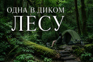 Летний кемпинг в лесу под дождём и у костра