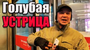 РадиоБашка Слухи на вокзале | Савёловская интрижка | Бомж тв