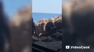 1000190214.mp4 Крым Судак Новый Свет ❤️