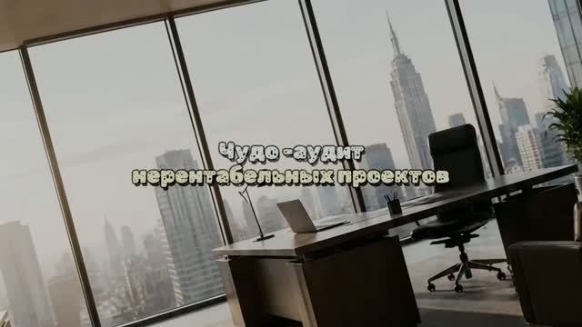 Чудо -аудит нерентабельных проектов