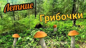 Такие грибки грех не собрать!