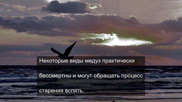 сила знания о мироздании 5
