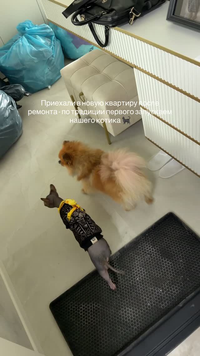 Ну, что с новосельем нас 🤌 Осталось только разобрать вещи и пакеты, которые приехали раньше нас 🤪