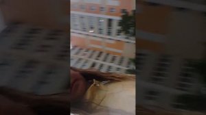 4170.mp4