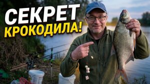 Донки Крокодил - Всегда с Рыбой!