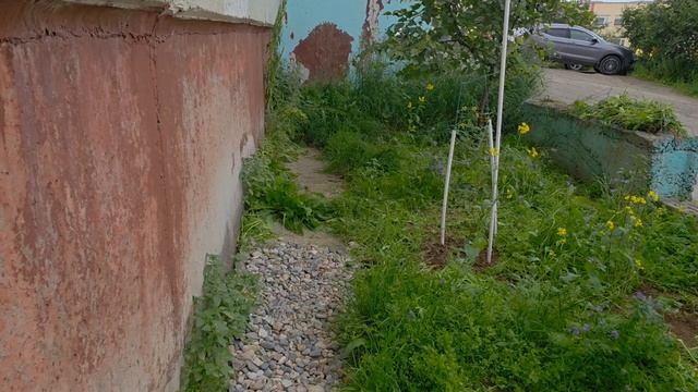 Как мы решили стать огородниками