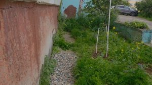 Как мы решили стать огородниками