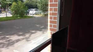 Симфония №459 Ирина Одарчук Паули