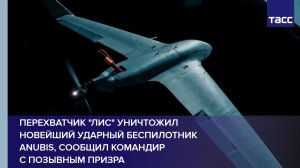 Перехватчик «Лис» уничтожил новейший ударный беспилотник Anubis, сообщил командир  Призрак