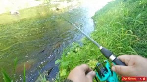 Отличная щучка на вертушку со струи🎣🌊🐊