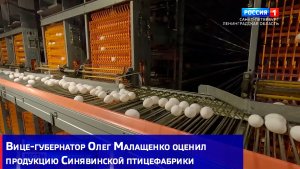 Вице-губернатор Олег Малащенко оценил продукцию Синявинской птицефабрики