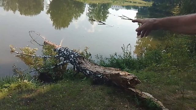Обзор заказов которые приехали ко мне с вб!
Поехали на плодопитомник!
