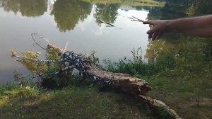 Обзор заказов которые приехали ко мне с вб!
Поехали на плодопитомник!