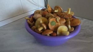 Август ,грибы в лесу. Приготовила