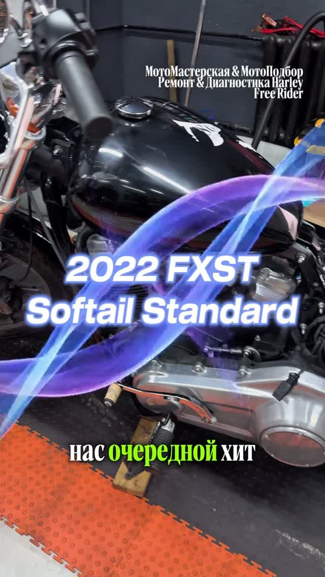 В работе Harley 2022 FXST Softail Standard🔥