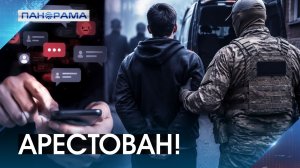 Сеть-паутина: как один комментарий стал путём за решётку? 06.08.2026 «Панорама»