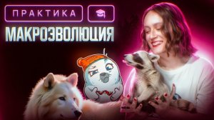 Макроэволюция | ЕГЭ-2025 по биологии