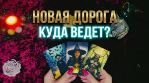 ✨ ВАШ НОВЫЙ ПУТЬ ❗️ КУДА ВЕДЕТ ВАС РУКА СУДЬБЫ ❓ ТАРО РАСКЛАД 💯