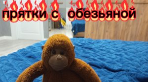 прятки с обезьяной *она меня хочет прибить*