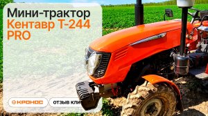 Мини-трактор Кентавр Т-244 PRO, отзыв от клиента