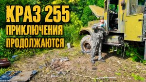 Брошенный КрАЗ 255 простоял 20 лет, пробуем уехать своим ходом!!